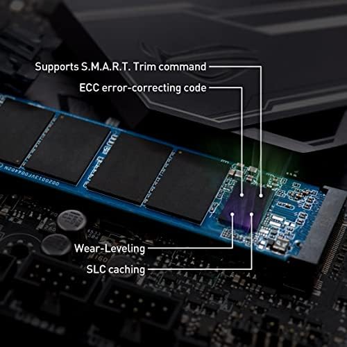 TEAMGROUP MP33 256 GB NVMe SSD – Ultra-Fast M.2 2280 Solid State Drive for Unmatched Performance Enhancement – Exceptional SLC Cache 3 D NAND TLC, PCIe Gen3 x4, Ideal for Gaming & Productivity – Experience Lightning Read Speeds Up to 1600 MB/s and Write Speeds Up to 1000 MB/s – Transform Your System with Unrivaled Efficiency & Reliability