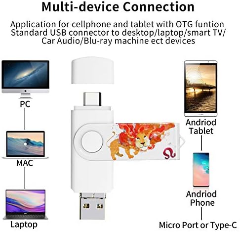 Ultra-Fast 3-in-1 256 GB Photo Backup Stick for Android & Type-C Devices – Seamless Storage with USB 3.1 Compatibility for Galaxy, LG, Google Pixel, Huawei, One Plus, and More!
