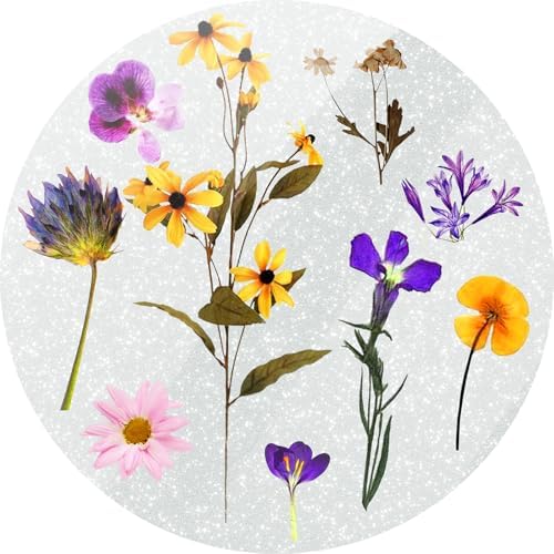 typecase Folding Phone Stand: Foldable Smartphone Holder for Desk – Ultra Thin Adjustable Kickstand – Magnetic Phone Grip Home Desk Accessories Compatible with Phone Tablets – Enhanced Compatibility and Speed