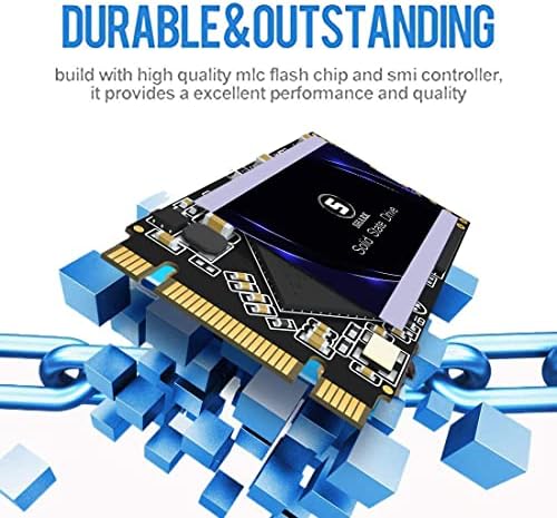 Transform Your System with the Shark Speed 64 GB MSATA SSD – High-Performance Internal Solid State Drive for Enhanced Speed and Storage in Desktops & Laptops – Lightning-Fast SATA III 6 Gb/s for Gamers and Professionals Seeking Unmatched Efficiency and Reliability