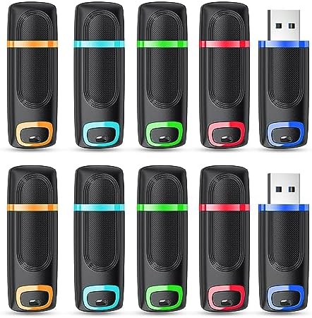 RAOYI 256 GB USB 3.0 Flash Drive – High-Speed Thumb Drive for Effortless Data Transfer Across PCs & Macs – Ultimate Portable Storage Solution for Professionals and Everyday Use