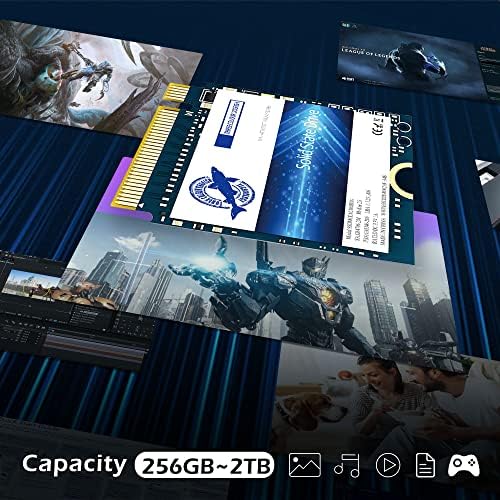 Unleash Gamer Potential with Dogfish 256 GB M.2 2230 NVMe PCIe 4.0 SSD – Ultimate Speed and Reliability for Steam Deck, PS5, Surface Pro, Laptops & Desktops – Boost Performance with 3 D TLC NAND Technology for Seamless Gaming and Fast File Transfers