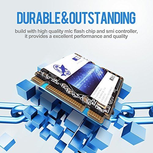Enhance Your Computing Power with the Dogfish 250 GB M.2 2242 SSD – Lightning-Fast Internal Solid State Drive for Unmatched Speed and Compatibility in Desktops & Laptops